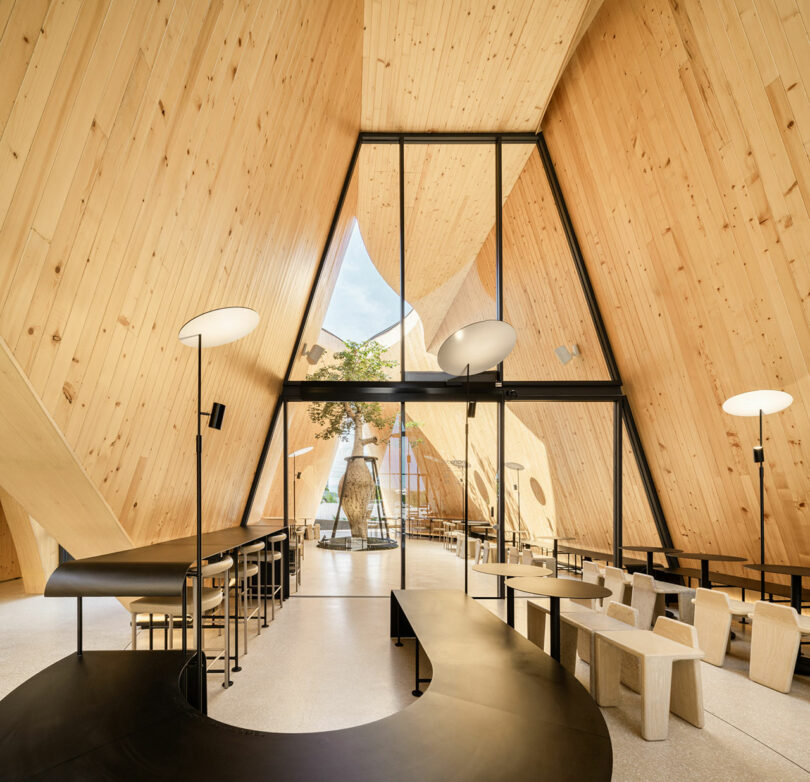 A modern, spacious room with high, wooden A-frame ceilings, large glass windows, minimalist furniture, and contemporary lighting fixtures.