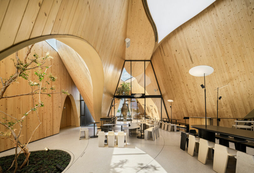 A modern, naturally lit interior space with curved wooden walls, large windows, minimalist furniture, and a small indoor garden area.