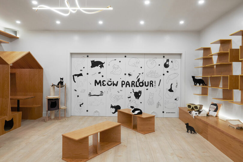 A modern cat café with wooden furniture, wall-mounted shelves, and playful cat illustrations on the back wall labeled "Meow Parlour." Several cats are seen throughout the space.