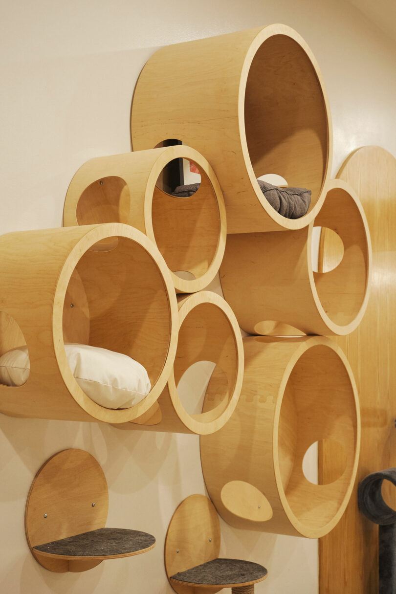 Wall-mounted wooden cylindrical shelves with circular openings, arranged artistically, each containing a cushion or pillow.