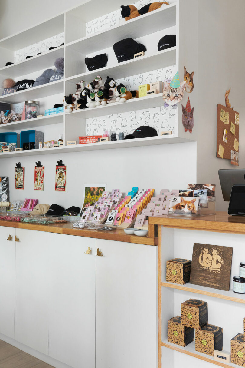 A retail store display with shelves showcasing various cat-themed merchandise, including plush toys, hats, stickers, and notebooks. A counter with a cash register and more items is also visible.