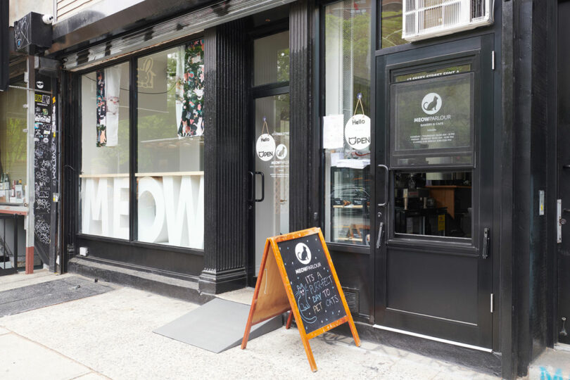 Street view of the entrance to a black storefront with large windows displaying the word "MEOW". A chalkboard sign in front announces, "It's Purrfect Day to Adopt a Cat!" Doors display "Meow Parlour" logos.