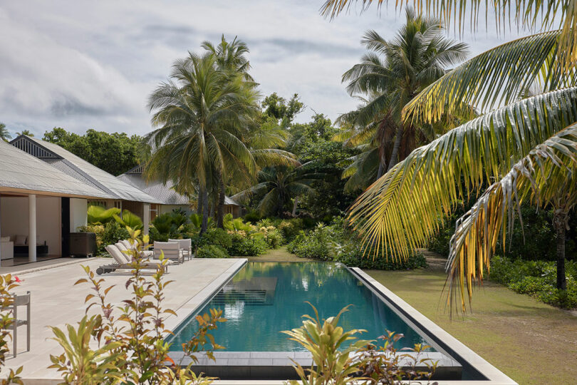 A tropical outdoor scene featuring a rectangular swimming pool surrounded by palm trees and greenery, adjacent to a modern building with open seating areas.