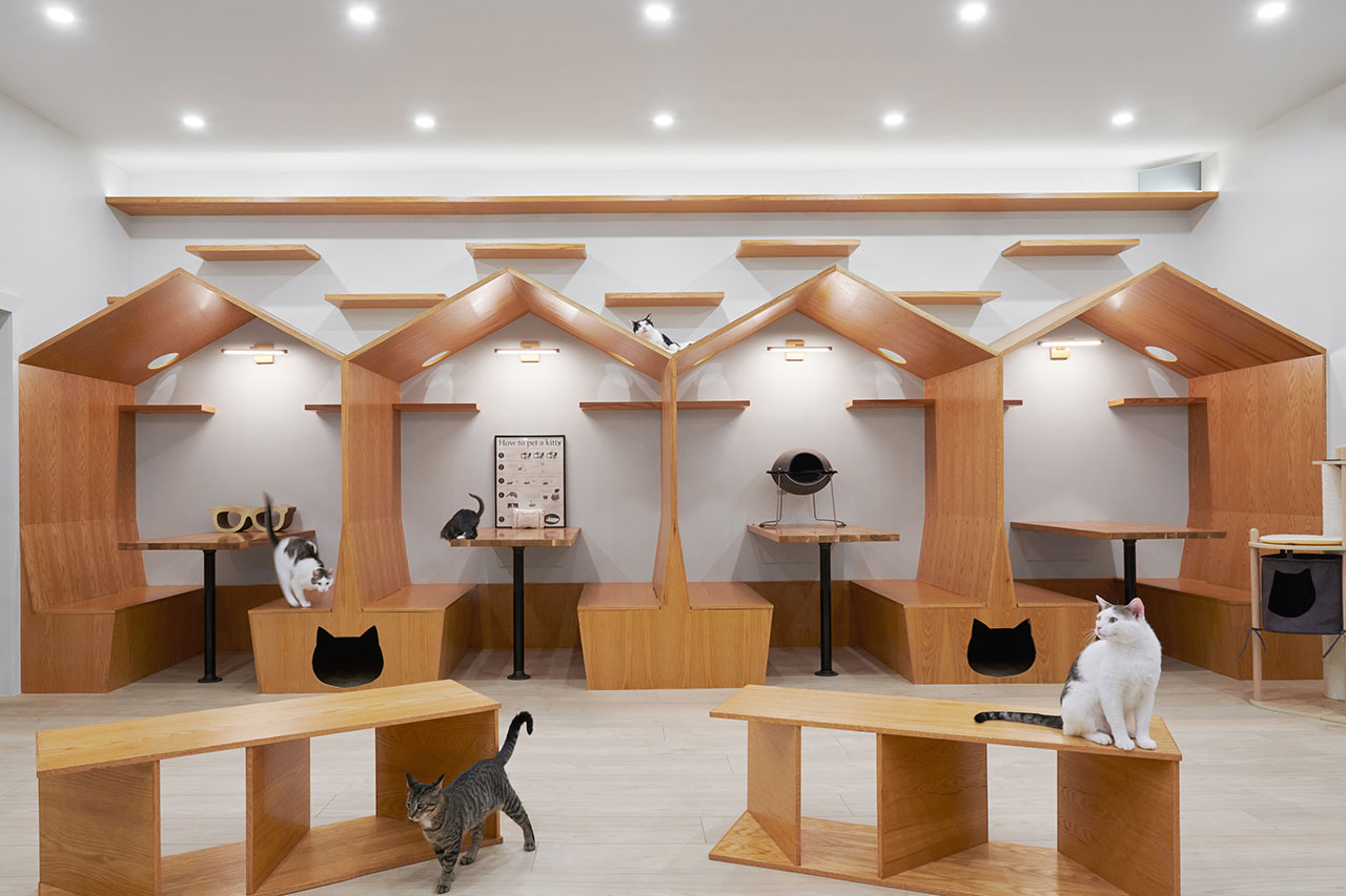 A Go to to the New Meow Parlour, NYC’s First Cat Cafe