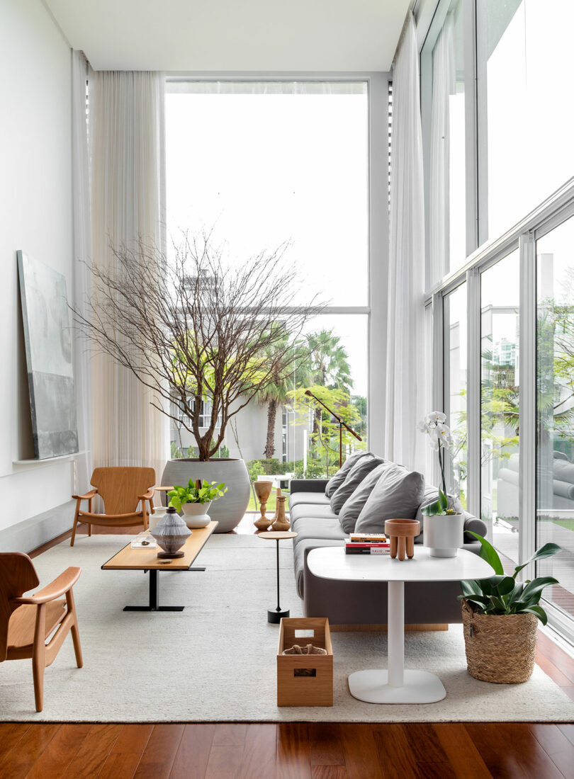 A modern living room with high ceilings, large windows, a grey couch, wooden furniture, a large potted plant, a white side table, and a light rug on wooden flooring.